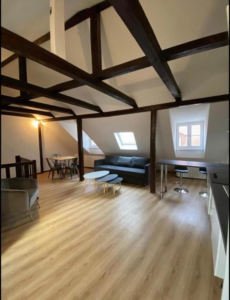 Colocation Strasbourg Cathédrale - Meublée - 3 chambres - 80m2
