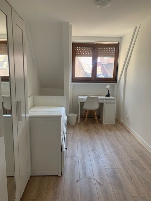 Colocation Strasbourg Krutenau - Meublée - 5 chambres - 80m2