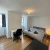 Colocation Strasbourg Krutenau - Meublée - 4 chambres - 108m2