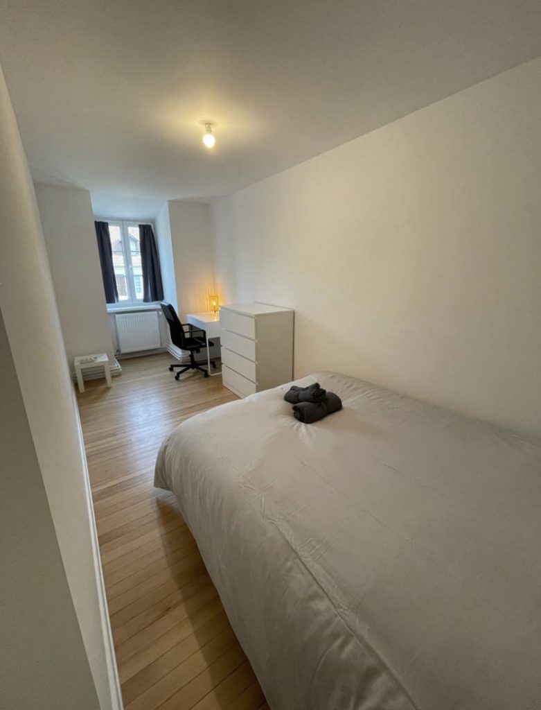 Colocation Strasbourg Krutenau - Meublée - 4 chambres - 108m2