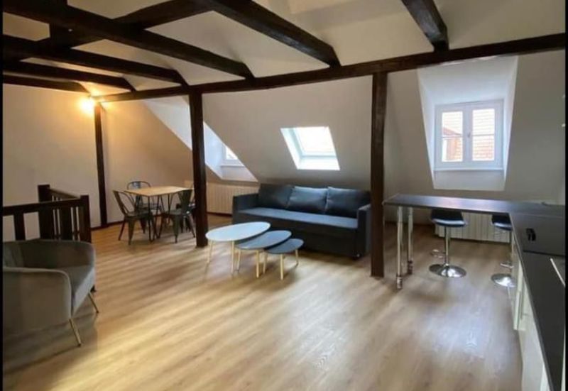 Colocation Strasbourg Cathédrale - Meublée - 3 chambres - 80m2
