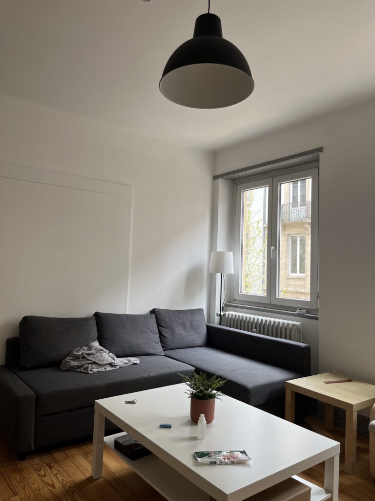 Colocation Strasbourg Gare - Meublée - 3 chambres - 80m2