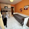 Location Strasbourg Orangerie - meublé - studio - 20m2
