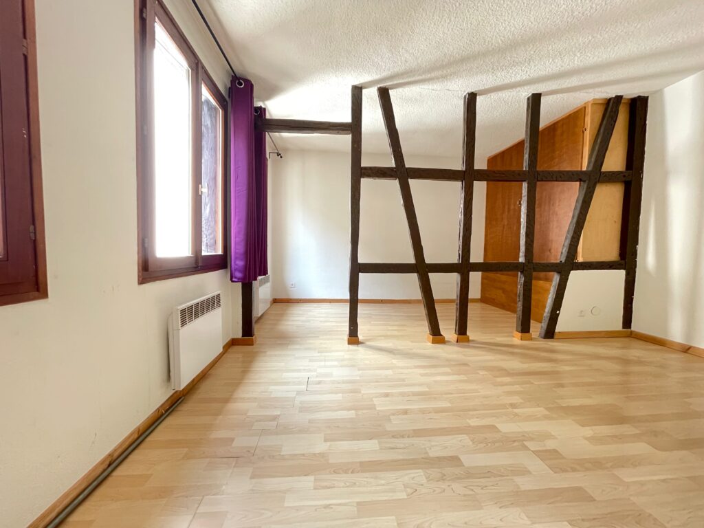 Location Strasbourg KRUTENAU - meublé - studio - 36m2