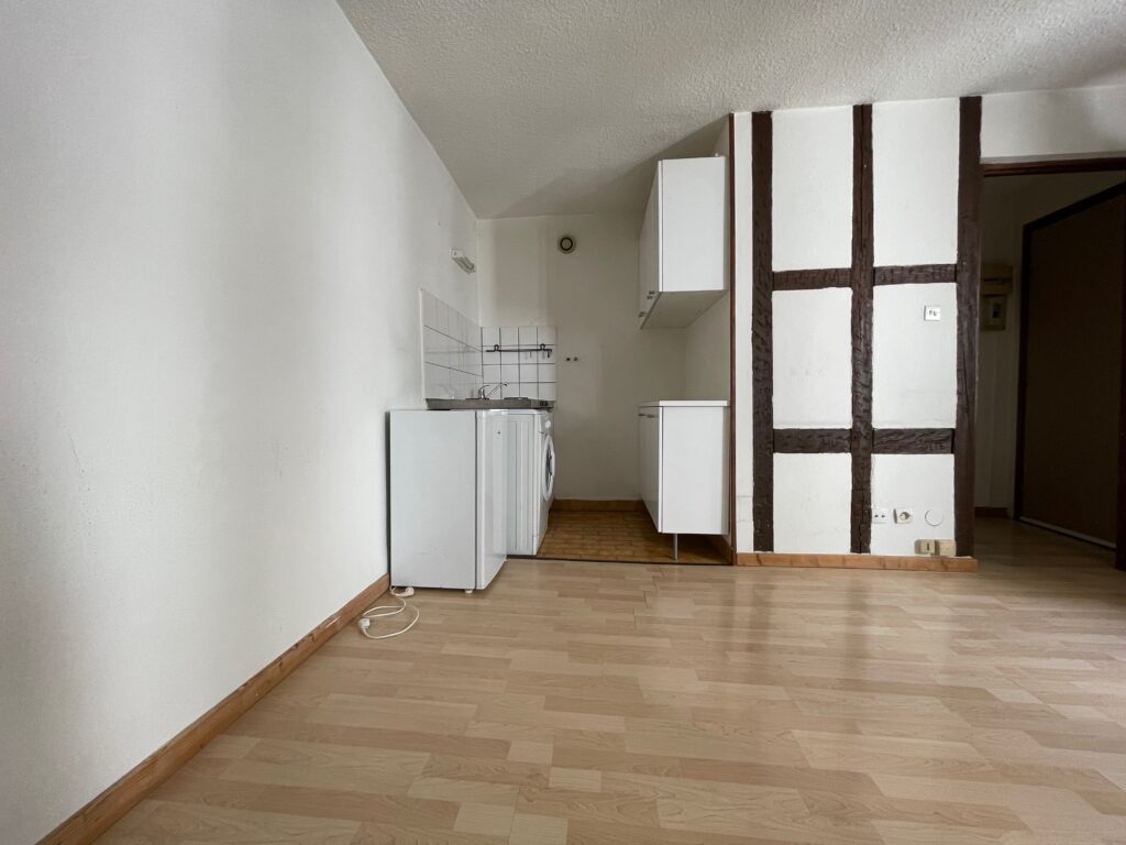 Location Strasbourg KRUTENAU - meublé - studio - 36m2