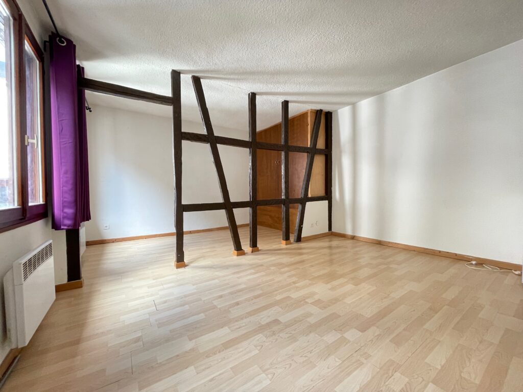 Location Strasbourg KRUTENAU - meublé - studio - 36m2