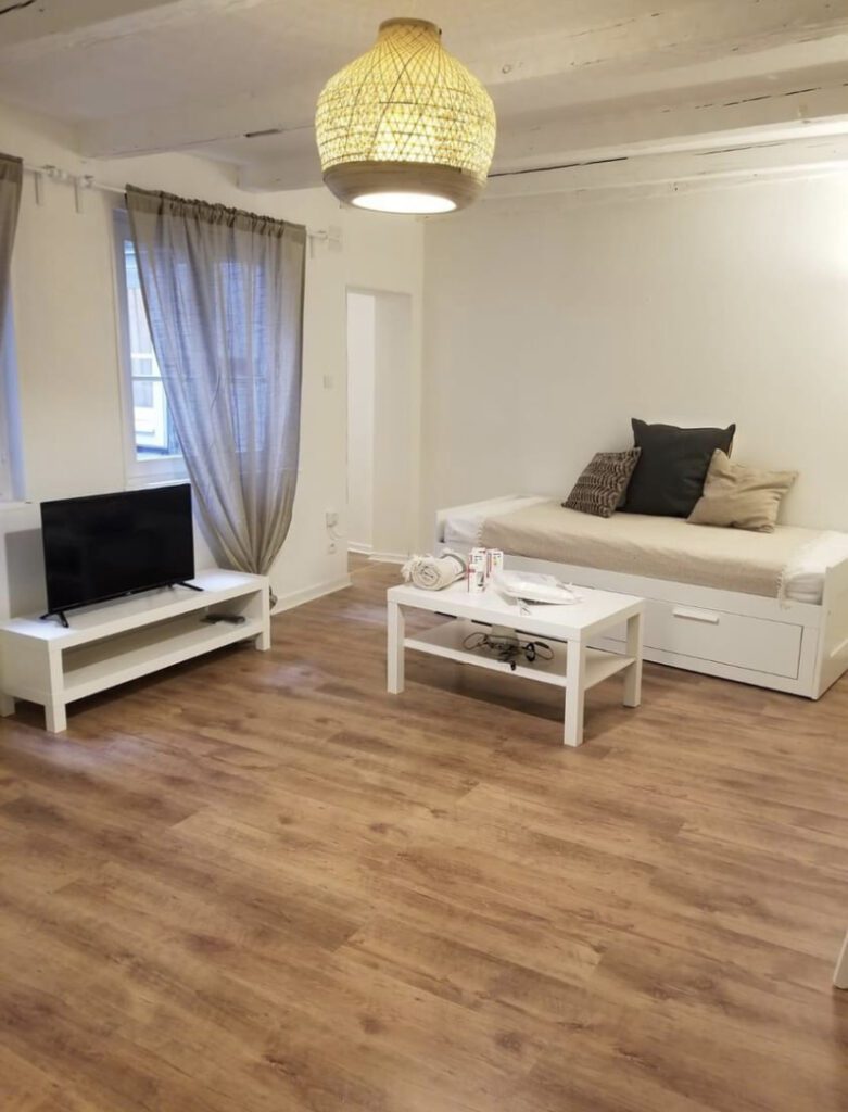 Studio Strasbourg Centre - meublé - 37m2 - salon