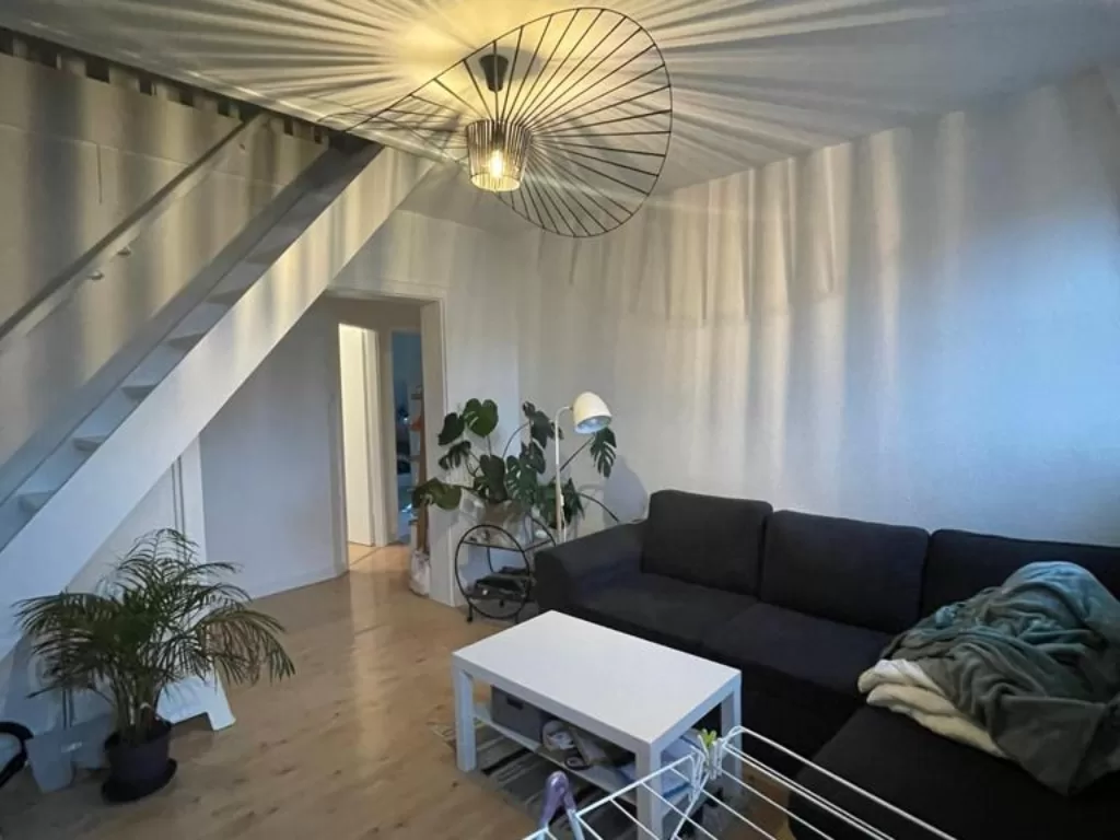 Colocation Strasbourg Petite France - Meublée - 4 chambres - 85m2