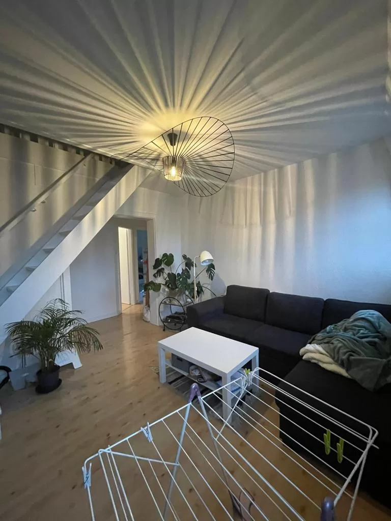 Colocation Strasbourg Petite France - Meublée - 4 chambres - 85m2