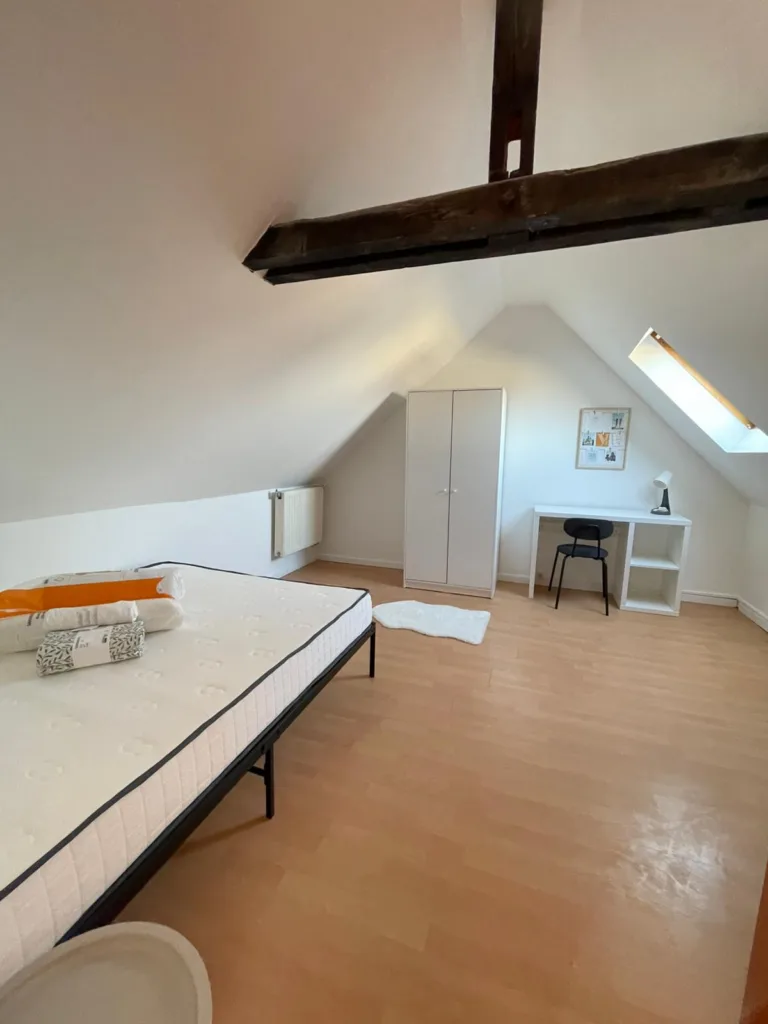 Colocation Strasbourg Gare - Meublée - 4 chambres - 80m²